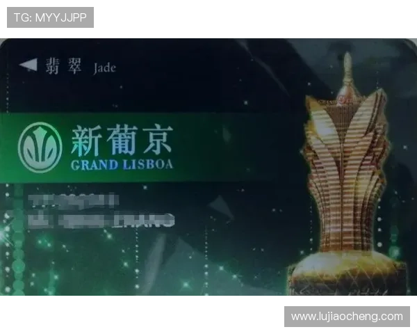 深入探讨澳门新葡京是什么梗的具体含义以及它在网络中的使用场景