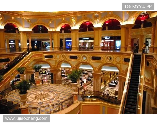 澳门威尼斯人娱乐城网址官方入口导航，快速进入高信誉度的线上娱乐城平台